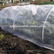 insectes de jardin net mailles à effet de serre et légumes usded